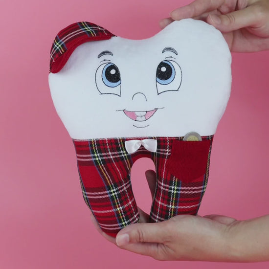 tooth fairy pillows with pocket and name embroidery