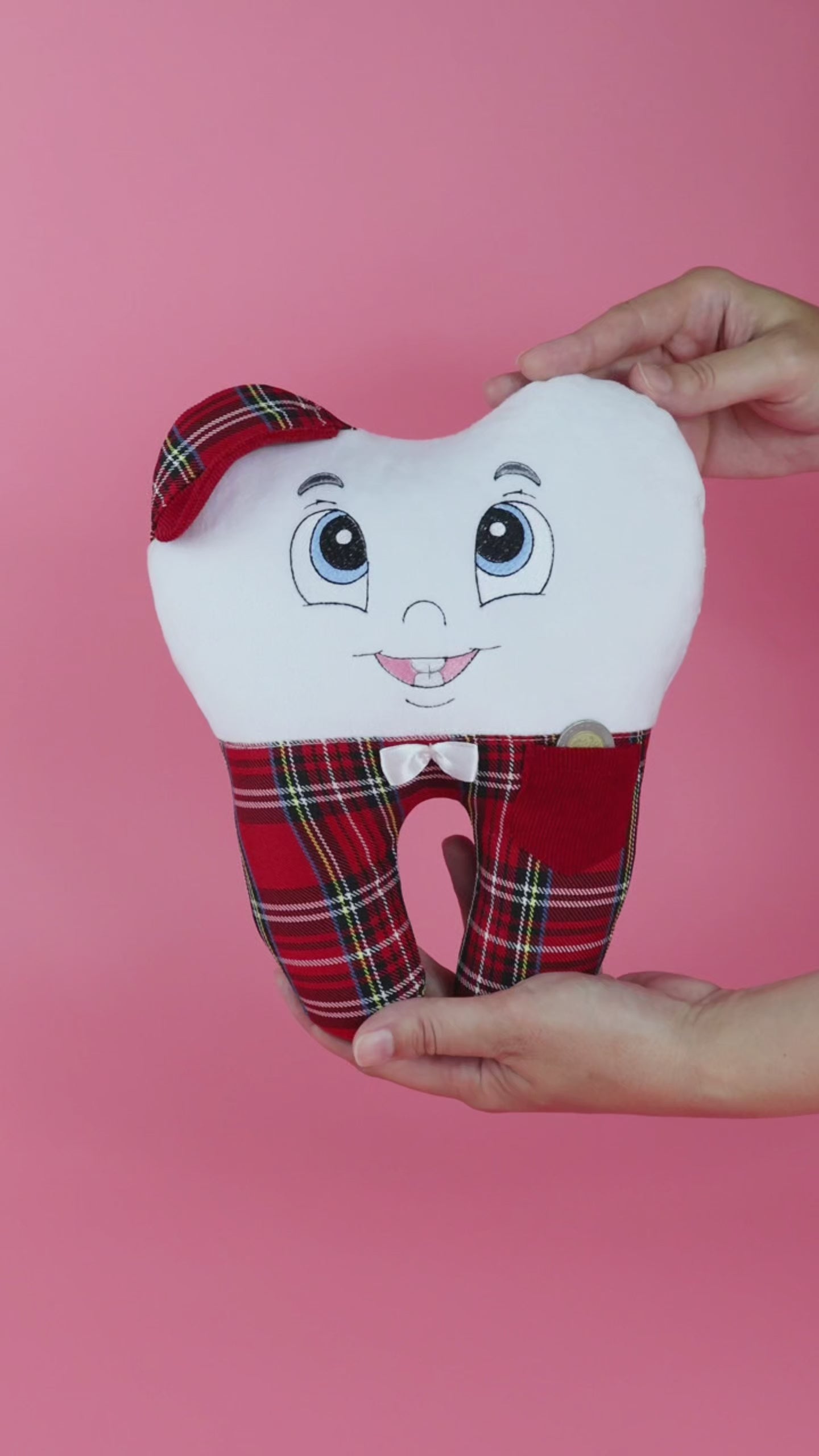 tooth fairy pillows with pocket and name embroidery
